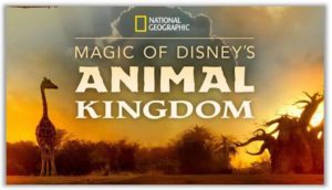 magic-of-disney-animal-kingdom