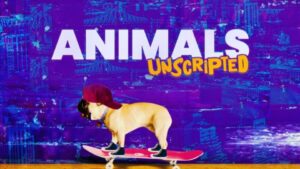 Animals-Unscripted