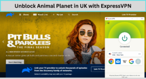 Unblock Animal Planet in UK with ExpressVPN